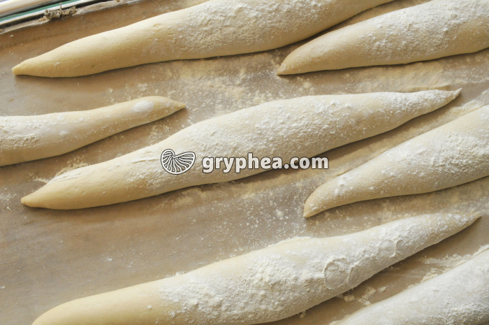 Patons fermentés avant cuisson - gryphea.com